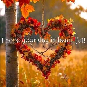 Cabin Core Must Have Live Show 11/08/2025